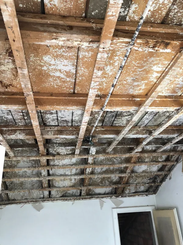 Umbau: Rückbau der alten Decke